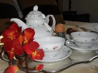 Stella Hotel Venezia Lido